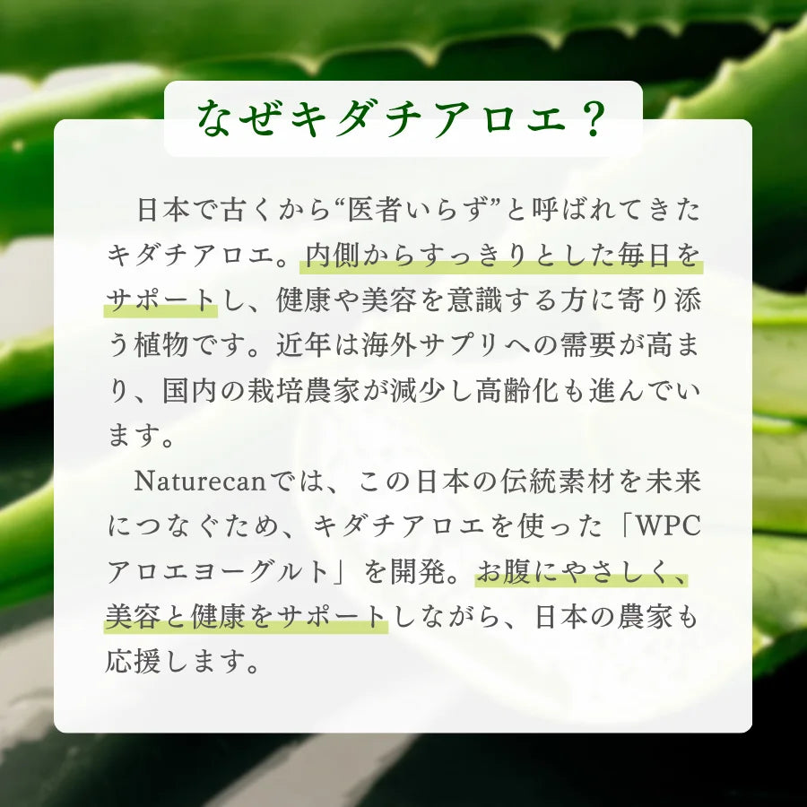 WPC乳清蛋白粉-蘆薈優格口味