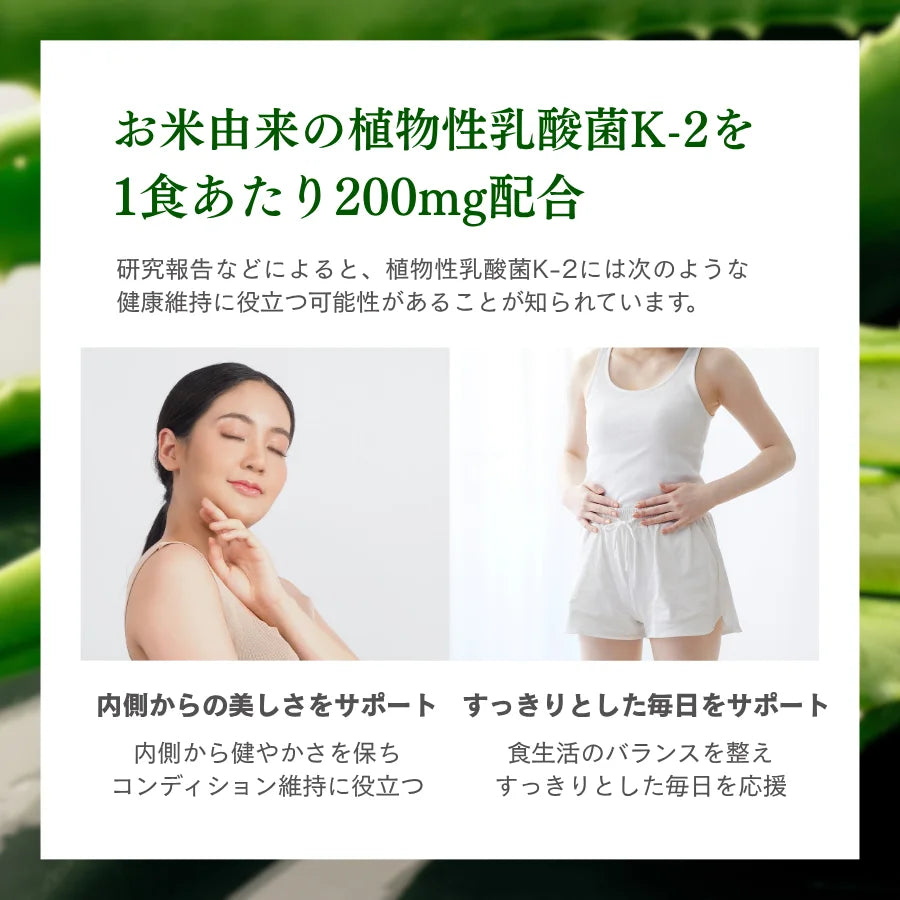 WPC乳清蛋白粉-蘆薈優格口味
