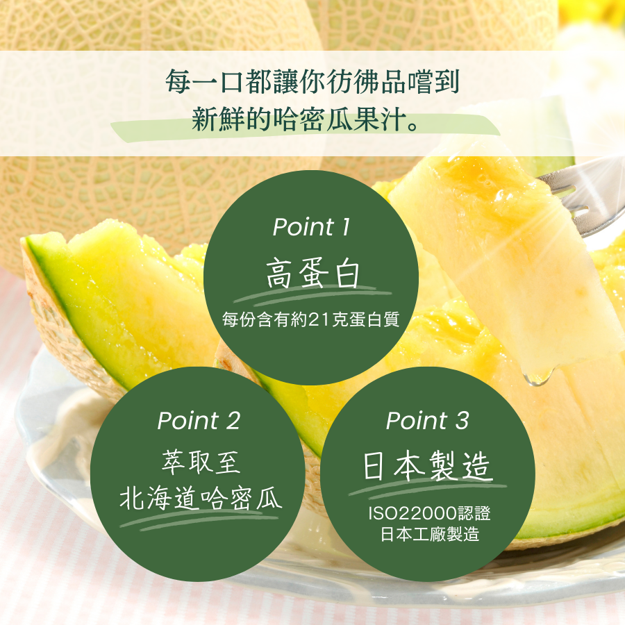 WPC乳清蛋白粉-哈密瓜口味