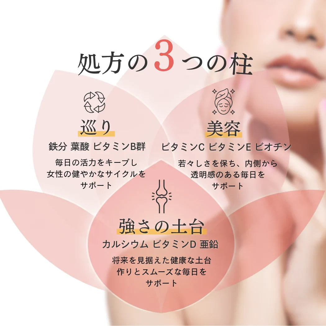 Naturecan Fitness TW【日本補鐵】女性專用全方位維他命