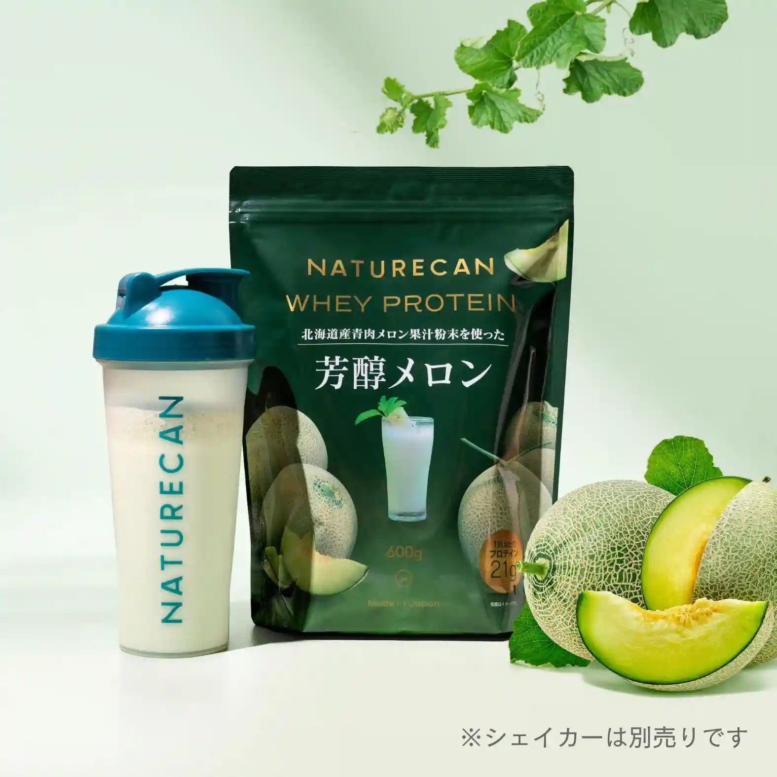 WPC乳清蛋白粉-哈密瓜口味