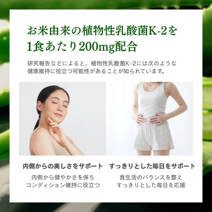 WPC乳清蛋白粉-蘆薈優格口味