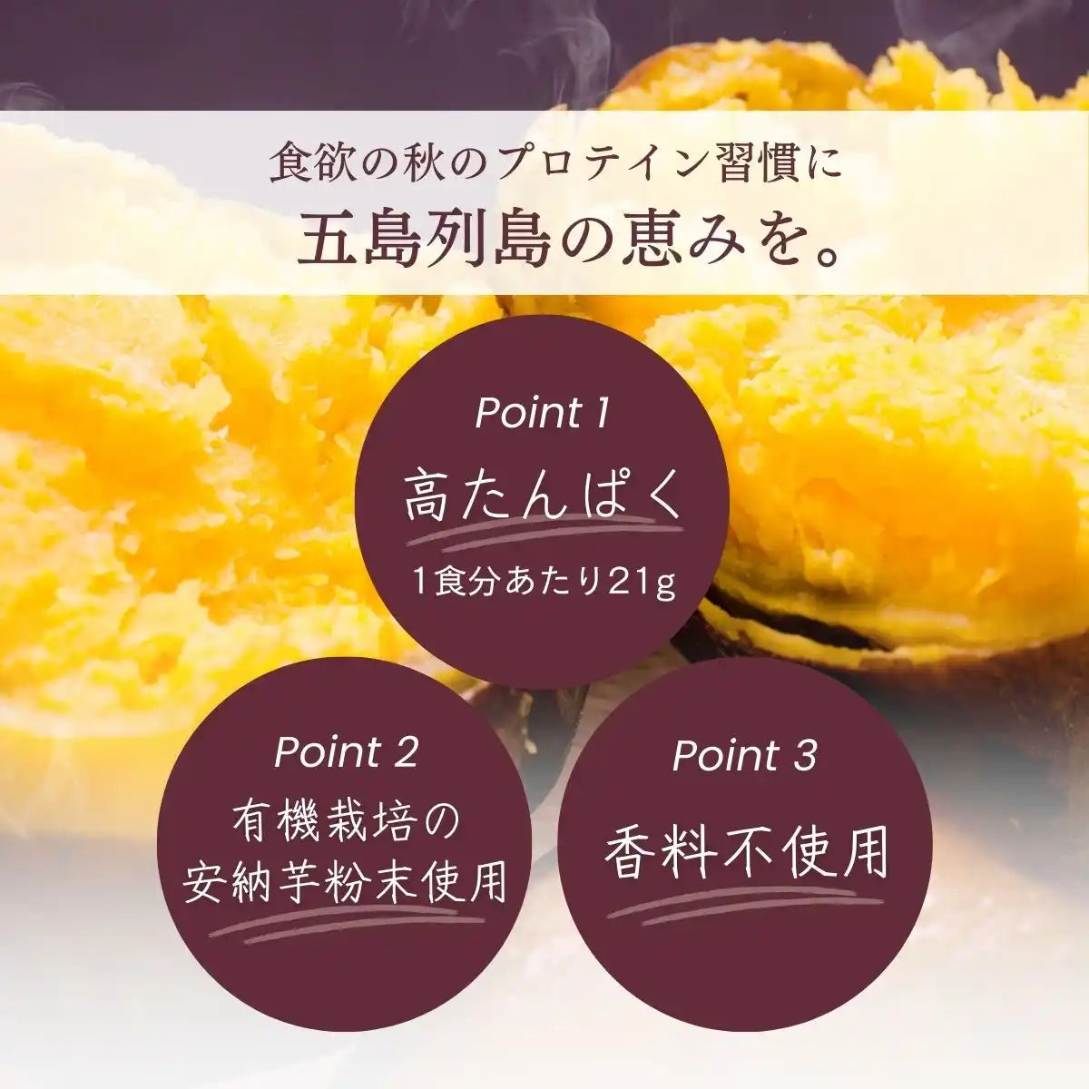 WPC乳清蛋白粉-紅薯口味