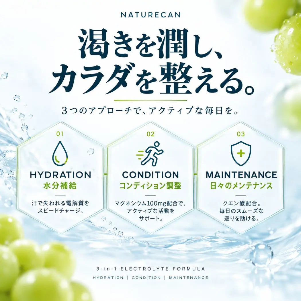 Naturecan Fitness tw 電解質補充粉-麝香葡萄風味