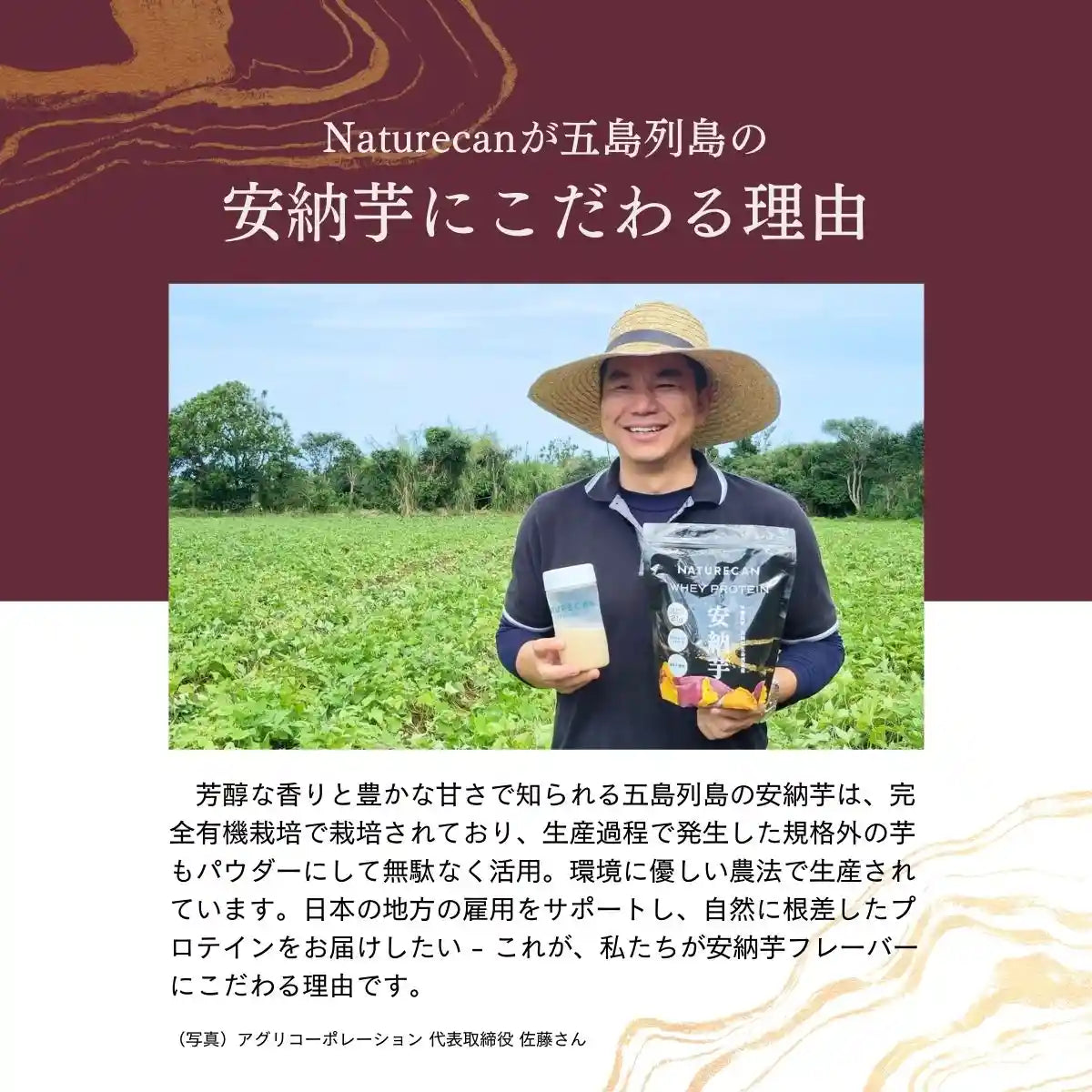 WPC乳清蛋白粉-紅薯口味