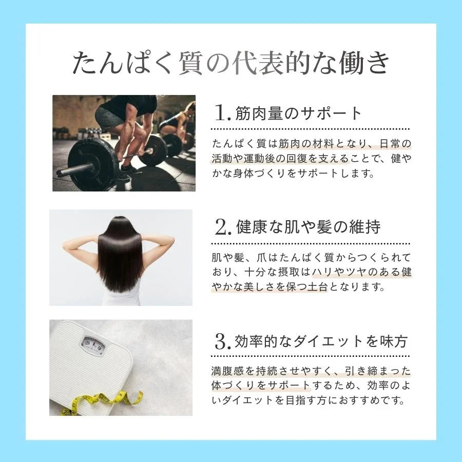 WPC乳清蛋白粉 - 白巧克力風味