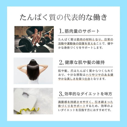 WPC乳清蛋白粉 - 白巧克力風味