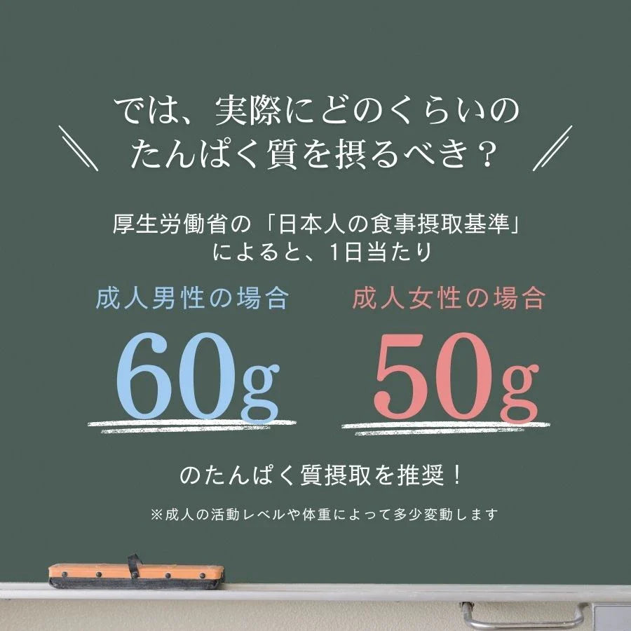 WPC乳清蛋白粉 - 白巧克力風味