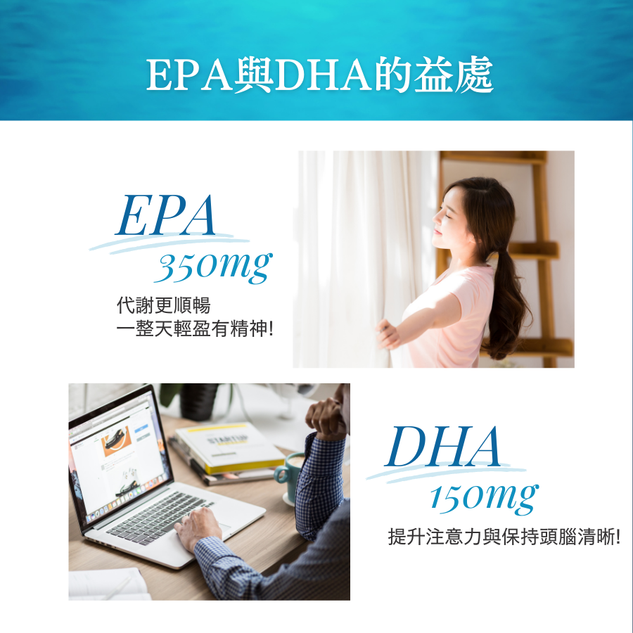 高濃度魚油EPA+DHA膠囊
