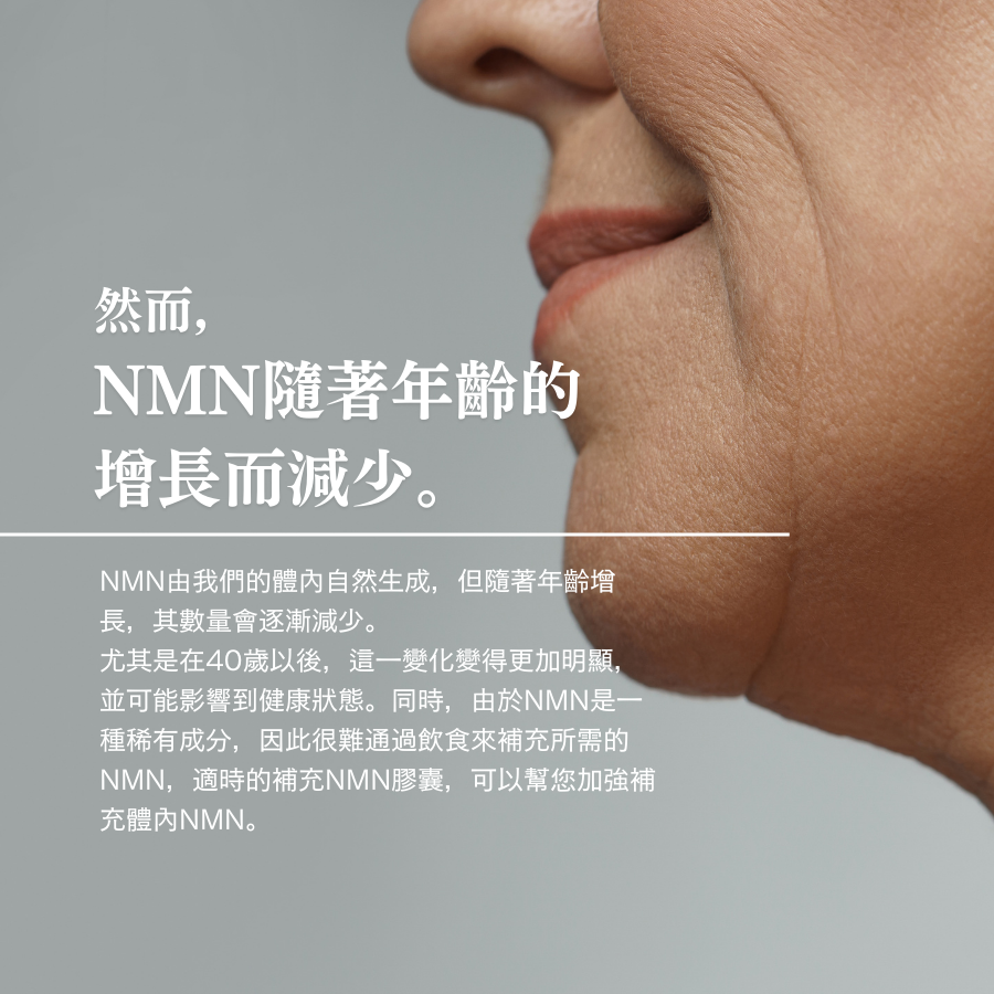 NMN 21300膠囊（菸醯胺單核苷酸）