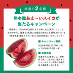 Pump Power (精胺酸＆瓜胺酸) - 西瓜風味