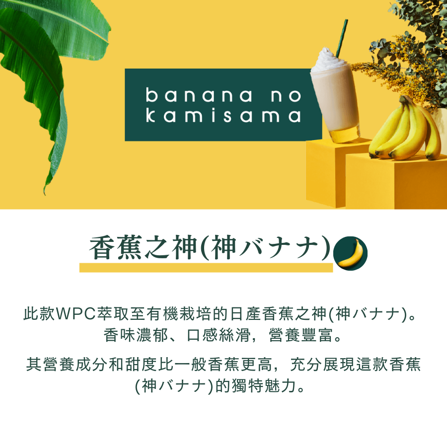 【期間限定】WPC乳清蛋白粉-香蕉口味(神バナナ)