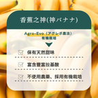 【期間限定】WPC乳清蛋白粉-香蕉口味(神バナナ)