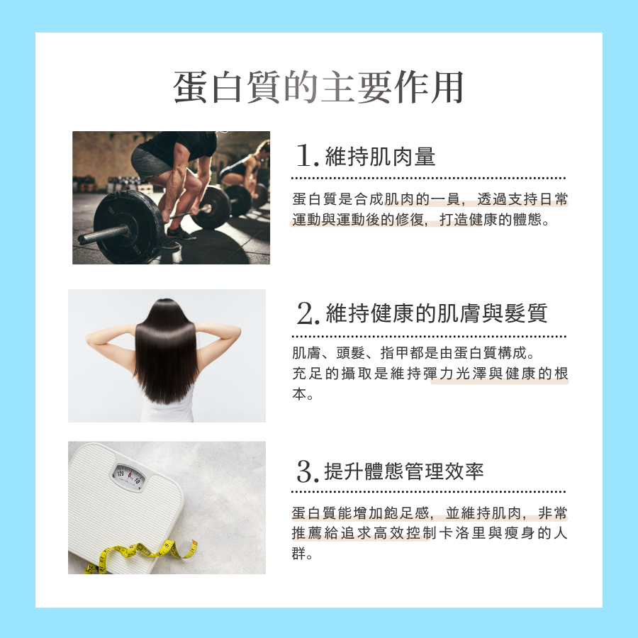 WPC乳清蛋白粉 - 白巧克力風味