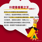 WPC乳清蛋白粉-香蕉口味